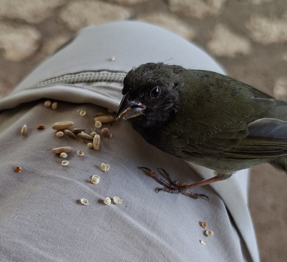 2026-04-11 Montego Bay 20260411_103405_ji.jpg